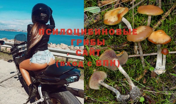 шишки Верхнеуральск