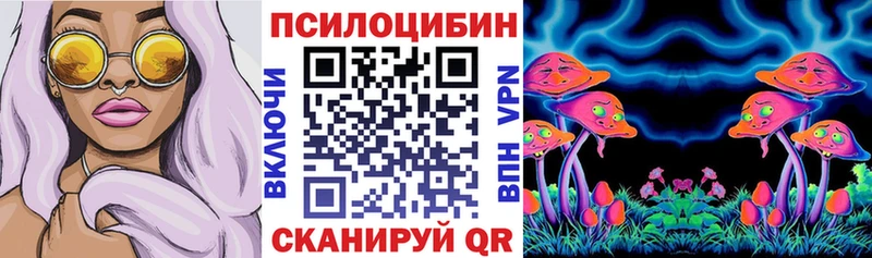 OMG маркетплейс  Ижевск  Псилоцибиновые грибы Magic Shrooms 